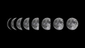 Moon Phase Wallpaper