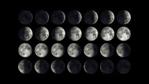 Moon Phase Wallpaper