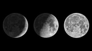 Moon Phase Wallpaper