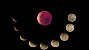 Moon Phase Wallpaper
