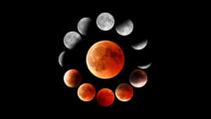 Moon Phase Wallpaper