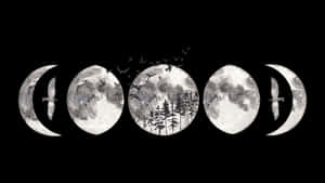 Moon Phase Wallpaper