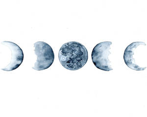 Moon Phases In White Background Wallpaper