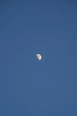 Moon Simple Phone Wallpaper