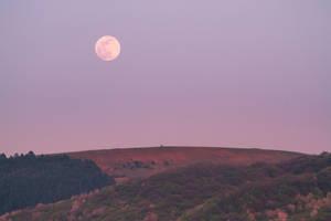 Moonlight Pink Sky Wallpaper