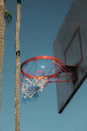 Moonlit Basketball Hoop Wallpaper
