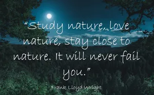 Moonlit_ Nature_ Inspiration_ Quote Wallpaper
