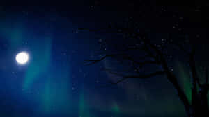 Moonlit_ Night_with_ Aurora_and_ Stars.jpg Wallpaper