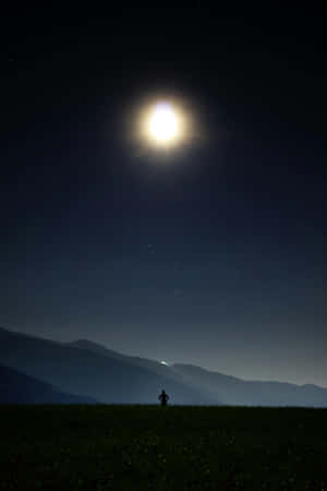 Moonlit_ Silhouette_ Field Wallpaper