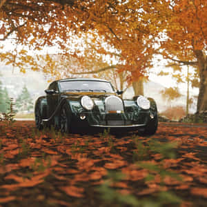 Morgan At Sunrise Wallpaper