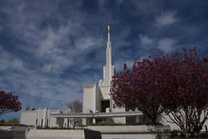 Mormon Temple In Denver Colorado Wallpaper