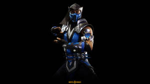 Mortal Kombat 11 Sub-zero Cover Wallpaper