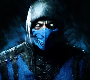 Mortal Kombat Sub-zero In Battle Wallpaper