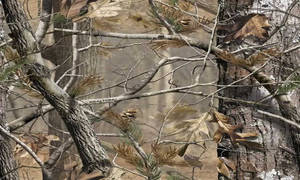 Mossy Oak Realtree Wallpaper