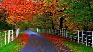 Most Beautiful Hd Autumn Season Wallpaper