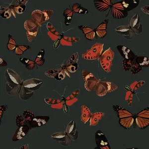 Moth_and_ Butterfly_ Pattern_ Dark_ Background Wallpaper