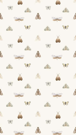 Moth Pattern Aesthetic Wallpaper.jpg Wallpaper