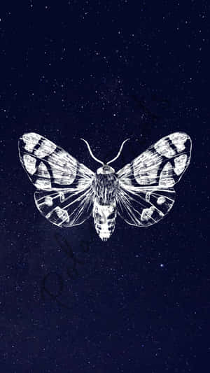 Moth Starry Night Aesthetic.jpg Wallpaper