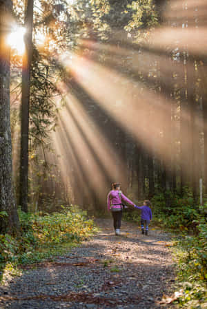 Mother Child Walk Forest Sunbeams Wallpaper