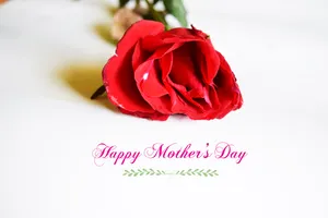 Mothers Day Red Rose Greeting Wallpaper