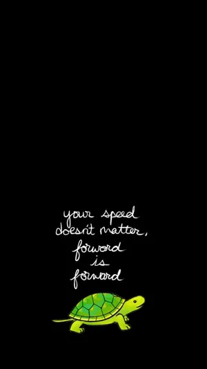 Motivational Turtle Cell Phone Image Wallpaper
