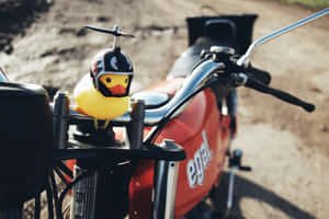 Motorcycle Riding Rubber Ducky Wallpaper