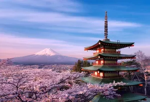 Mount Fuji Cherry Blossoms Pagoda Wallpaper