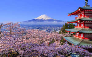 Mount Fuji Cherry Blossomsand Pagoda Wallpaper