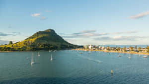 Mount Maunganui Tauranga Waterfront New Zealand Wallpaper