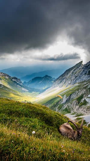 Mount Pilatus Nature Android Hd Wallpaper