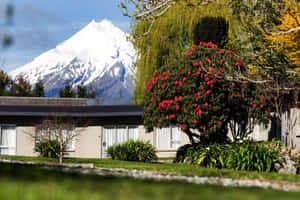 Mount Taranaki Snow Capped View New Plymouth Wallpaper