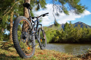 Mountain Bike Riverside Rest Wallpaper