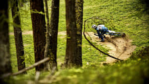 Mountain Biker Speeding Through Forest Trail.jpg Wallpaper