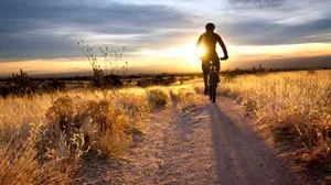 Mountain Biking Away From Sunset Trail Wallpaper