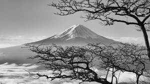 Mountain Japanese Nature Wallpaper