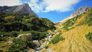 Mountain Range During Early Fall Wallpaper