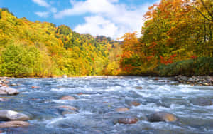 Mountains During Early Fall Wallpaper