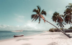 Mozambique Small Boats Wallpaper