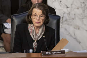 Mrs. Dianne Feinstein Speaking Wallpaper