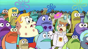 Mrs. Puff's Boating School Adventures Wallpaper