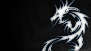 Msi 4k Dragon Vector Wallpaper