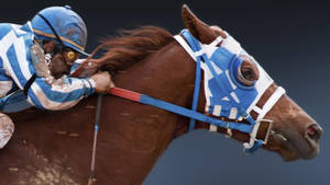 Muddy Secretariat Wallpaper