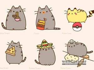 Multi-tasking Pusheen Wallpaper