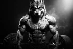 Muscled_ Wolf_ Anthropomorphic_ Illustration Wallpaper