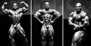 Muscleman Flex Wheeler Wallpaper