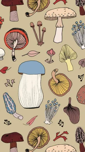 Mushroom Variety Pattern_ Earthy Aesthetic.jpg Wallpaper