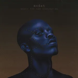 Music For The Contrarian Album Art Wallpaper