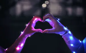 Mutual Love Lights Wallpaper