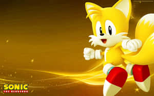 My Furry Best Friend, Tails Wallpaper