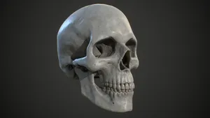 Mysterious 3d Skull On Dark Background Wallpaper